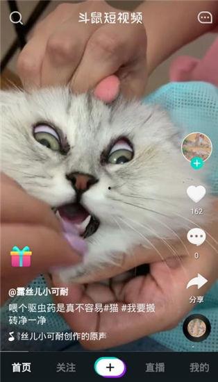 最新老鼠爆料视频下载免费,免费下载背后的真相大揭秘