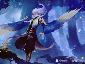 云中君最新爆料,揭秘神秘项目背后的秘密