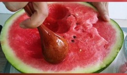 最新西瓜爆料,揭秘娱乐圈最新热点事件！