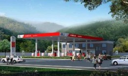 保定加油站爆料案件最新