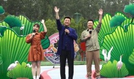 沈阳精彩爆料新闻视频最新,揭秘神秘事件背后的真相