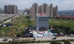 河源市源城区最新爆料,揭秘神秘事件背后的真相