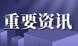 最新官方爆料新闻,揭秘重大事件背后真相