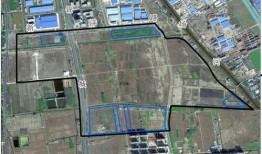 王校长爆料涉赌视频最新,揭秘校园赌博黑幕