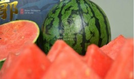 最新西瓜爆料,揭秘娱乐圈最新热点事件！