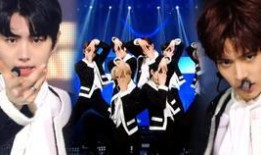 enhypen最新爆料,成员们背后的故事与未来展望