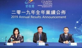 沧州碧桂园最新爆料新闻,揭秘项目最新进展与亮点