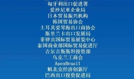 进博会最新爆料信息,前沿科技与全球合作新篇章”