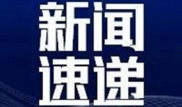 最新官方爆料新闻,揭秘重大事件背后真相
