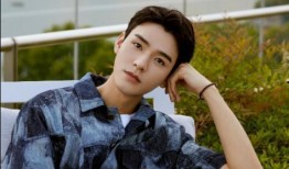 龚俊爆料视频最新消息大全,揭秘背后故事与精彩瞬间”