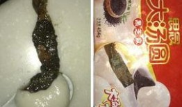 汤圆最新爆料图片大全,高清图片大揭秘！